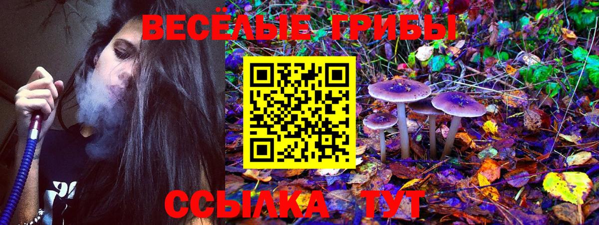 Галлюциногенные грибы прущие грибы Новотроицк