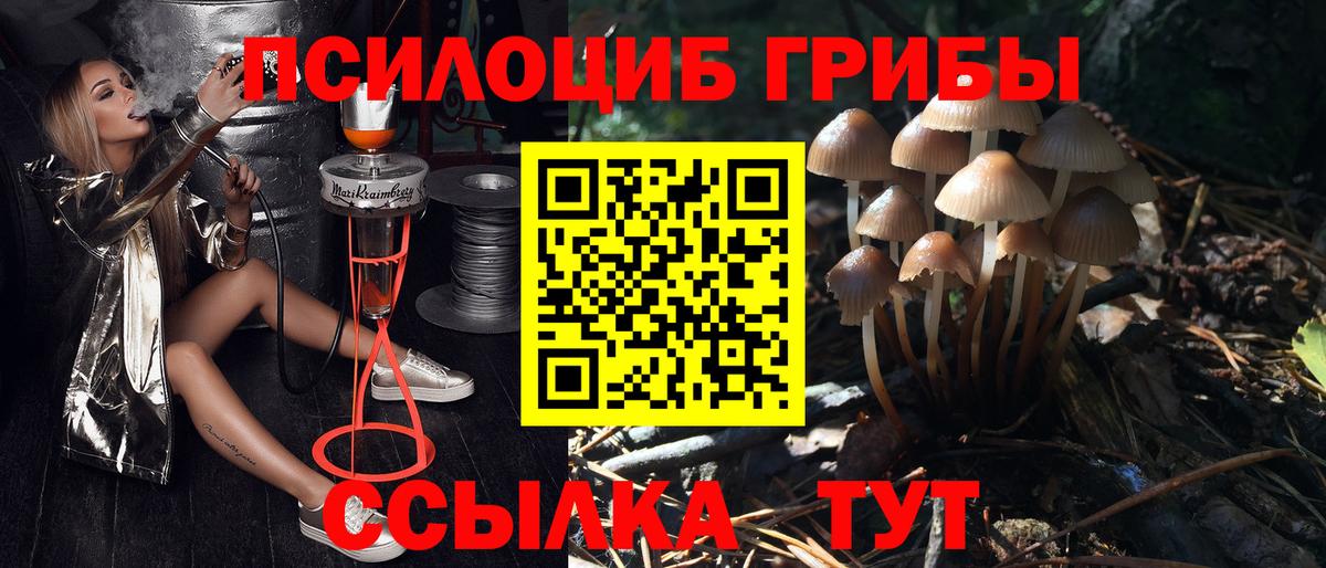 Новотроицк  Галлюциногенные грибы Magic Shrooms  Вход с VPN 